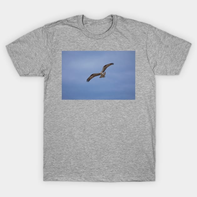 Osprey_VOA7132 T-Shirt by seadogprints